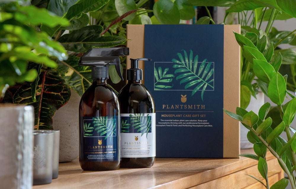 Houseplant Care Gift Set By Plantsmith - Plant Drop