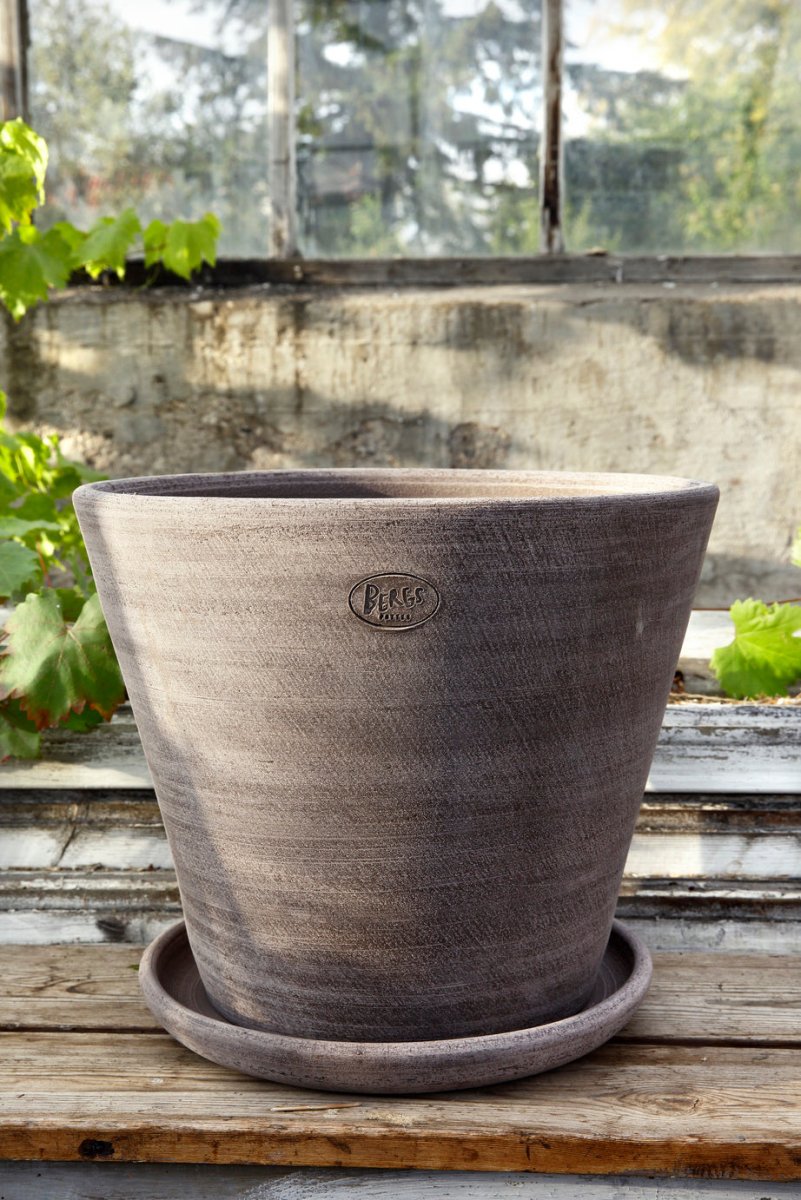 Julie Raw Rosa Terracotta Planter With Saucer By Bergs - Plant Drop