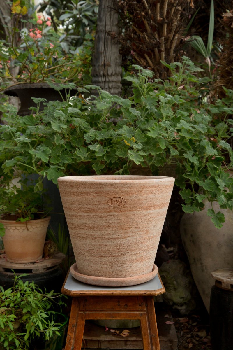 Julie Raw Rosa Terracotta Planter With Saucer By Bergs - Plant Drop