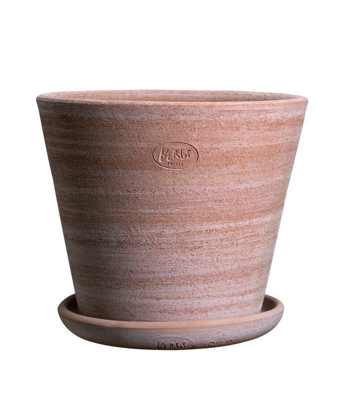 Julie Raw Rosa Terracotta Planter With Saucer By Bergs - Plant Drop