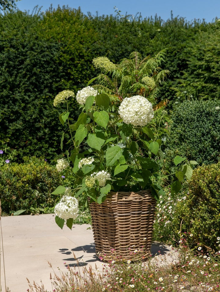 Natural Tall Rattan Basket, Indoor & Outdoor Planter - Plant Drop