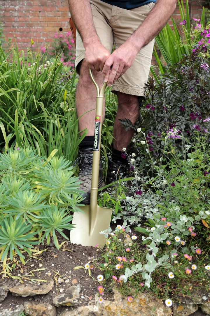 Niwaki Golden Spade, Made in Japan - Plant Drop
