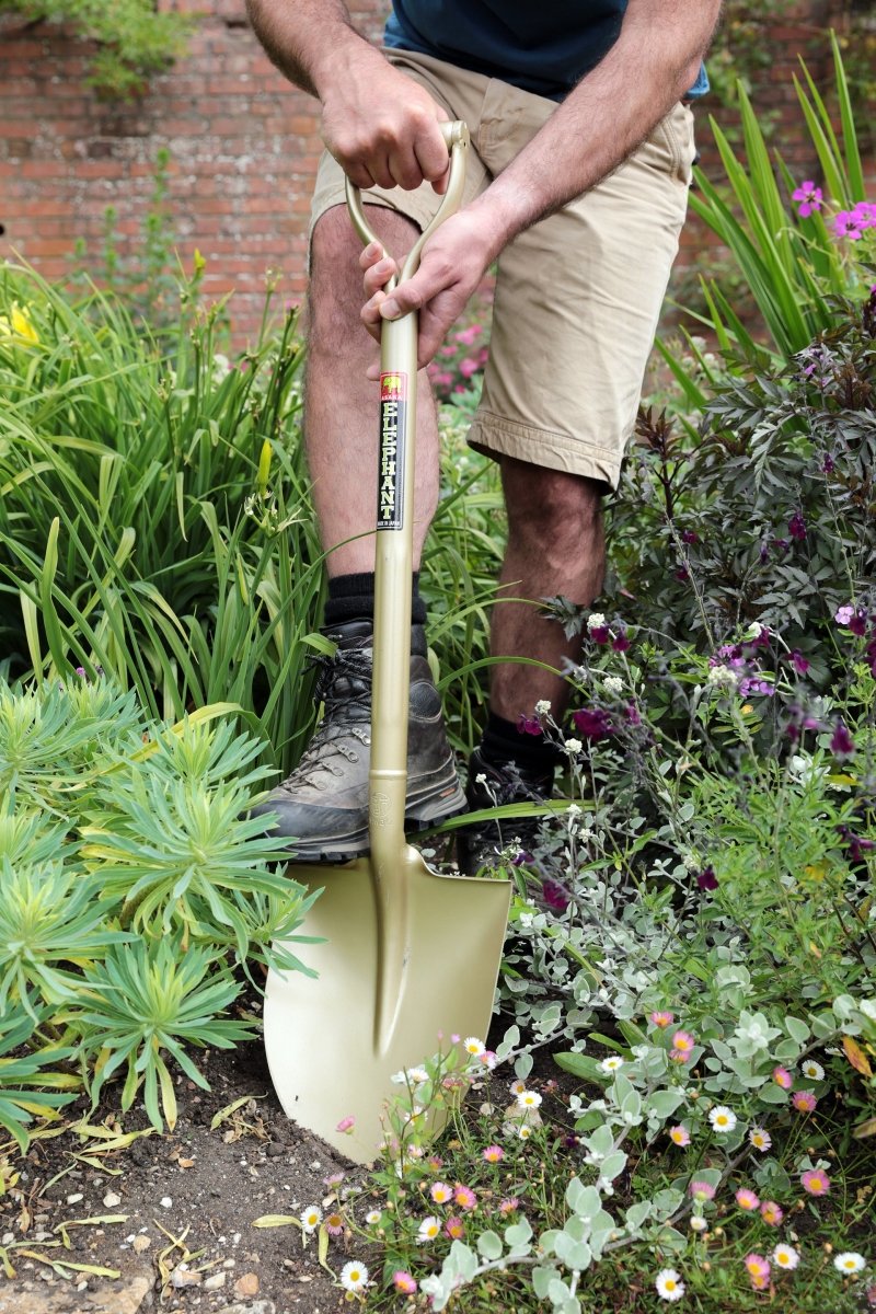 Niwaki Golden Spade, Made in Japan - Plant Drop