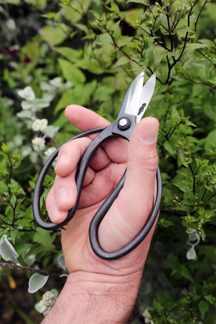 Niwaki Sentei Garden Scissors, Japanese Tool - Plant Drop