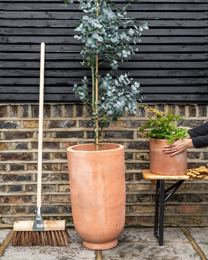 Outdoor Potting Service - Plant Drop