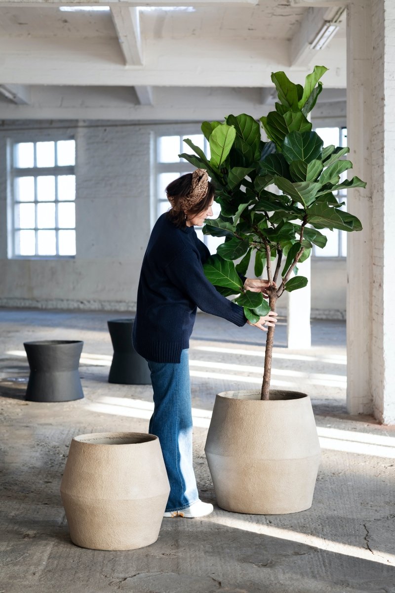 Papier-Mâché Beige Planter By Marie Michielssen - Plant Drop