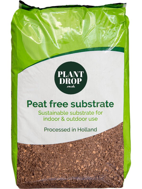 Peat-Free Houseplant Soil - Plant Drop