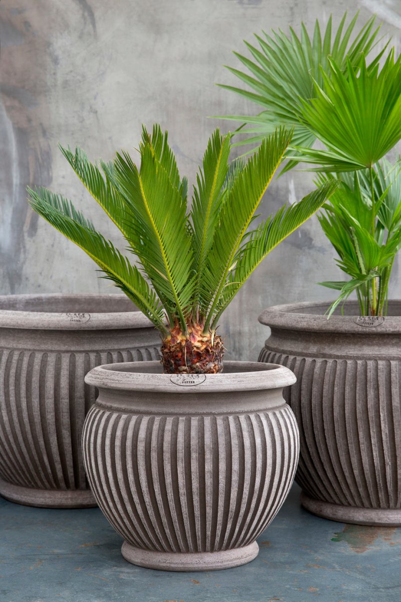 Piccolina Terracotta Pots By Bergs - Plant Drop