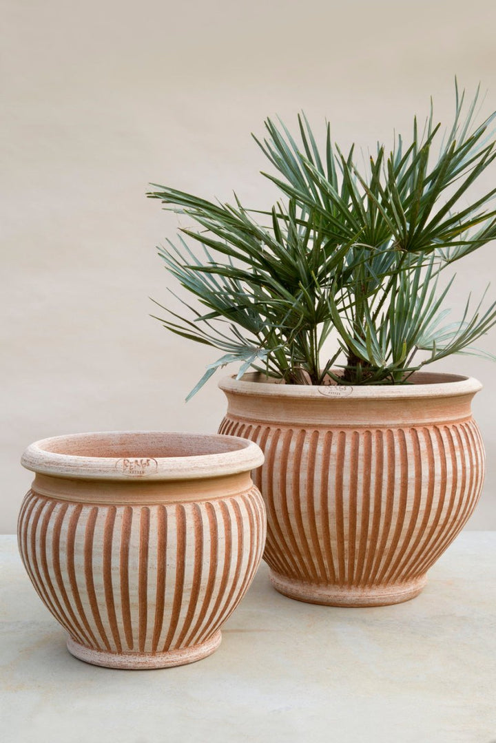 Piccolina Terracotta Pots By Bergs - Plant Drop