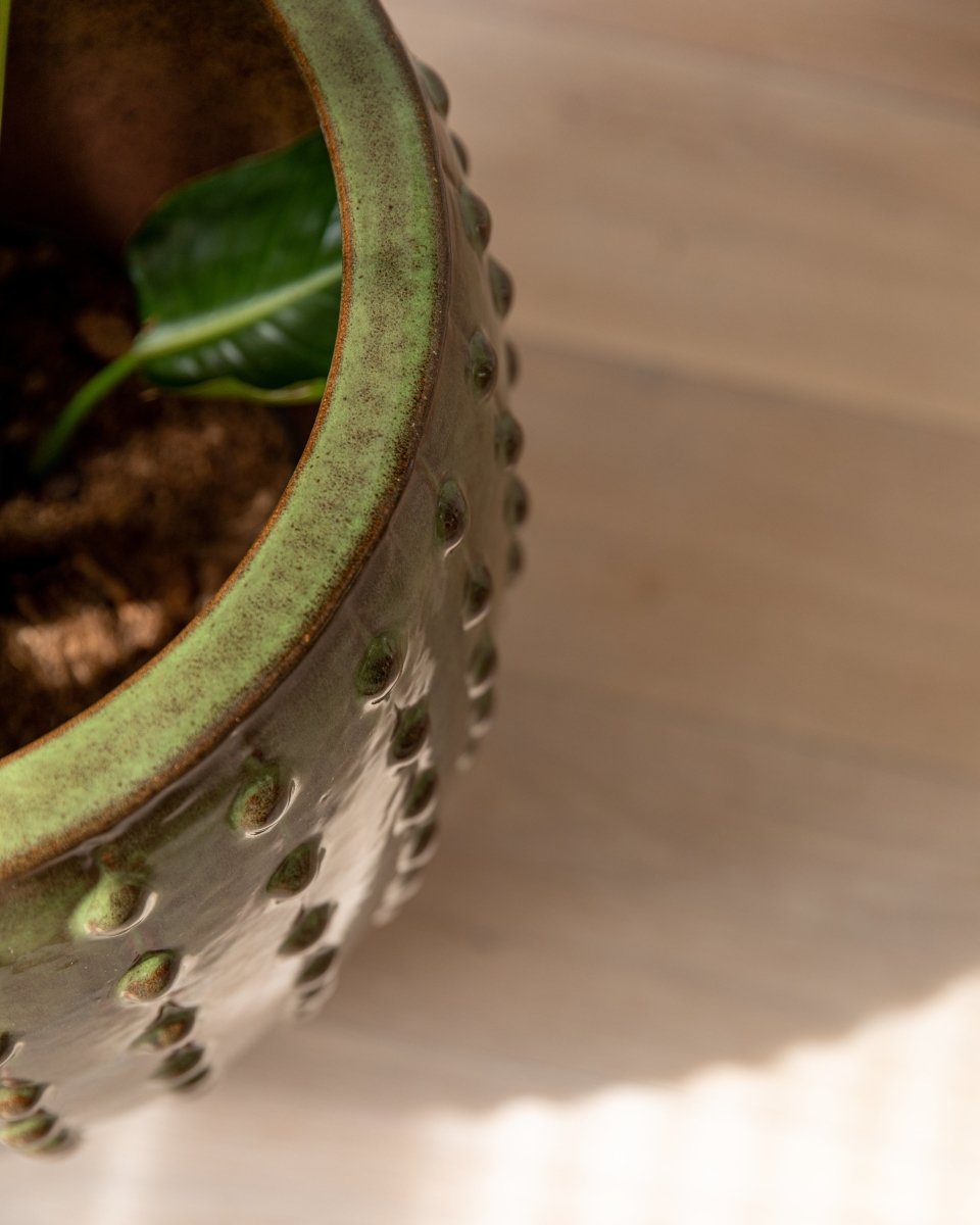 Studded Urns - Plant Drop