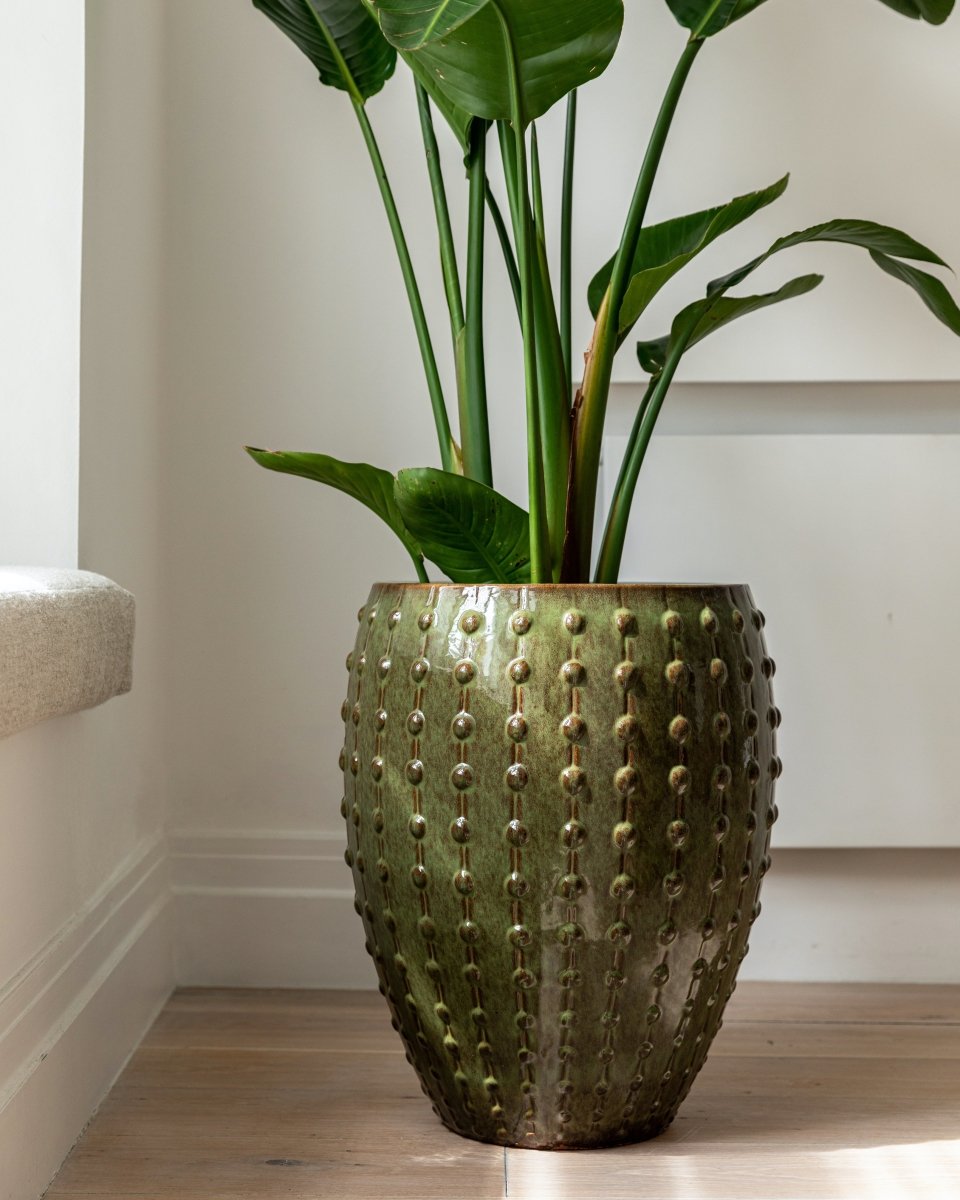 Studded Urns - Plant Drop