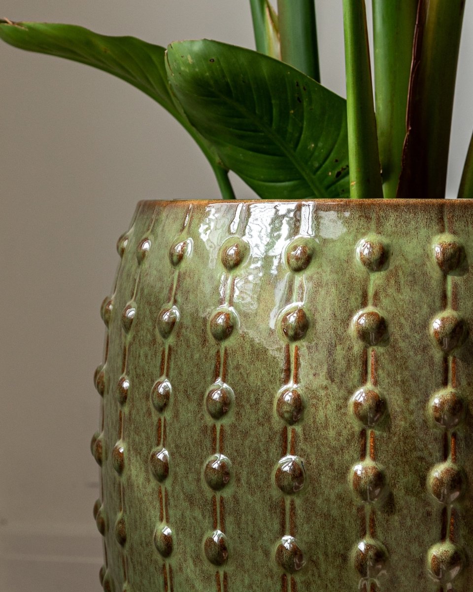 Studded Urns - Plant Drop