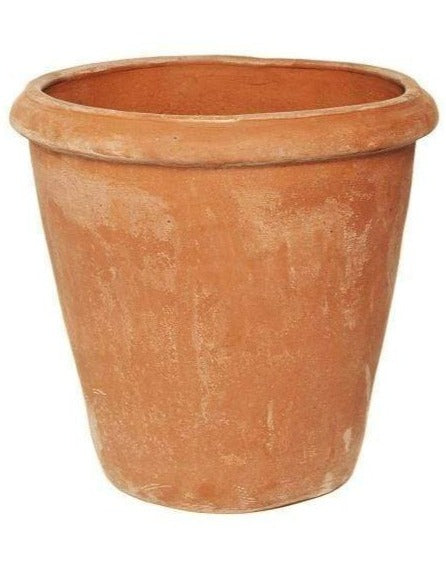 Terracini Terracotta Camellia Pots - Plant Drop