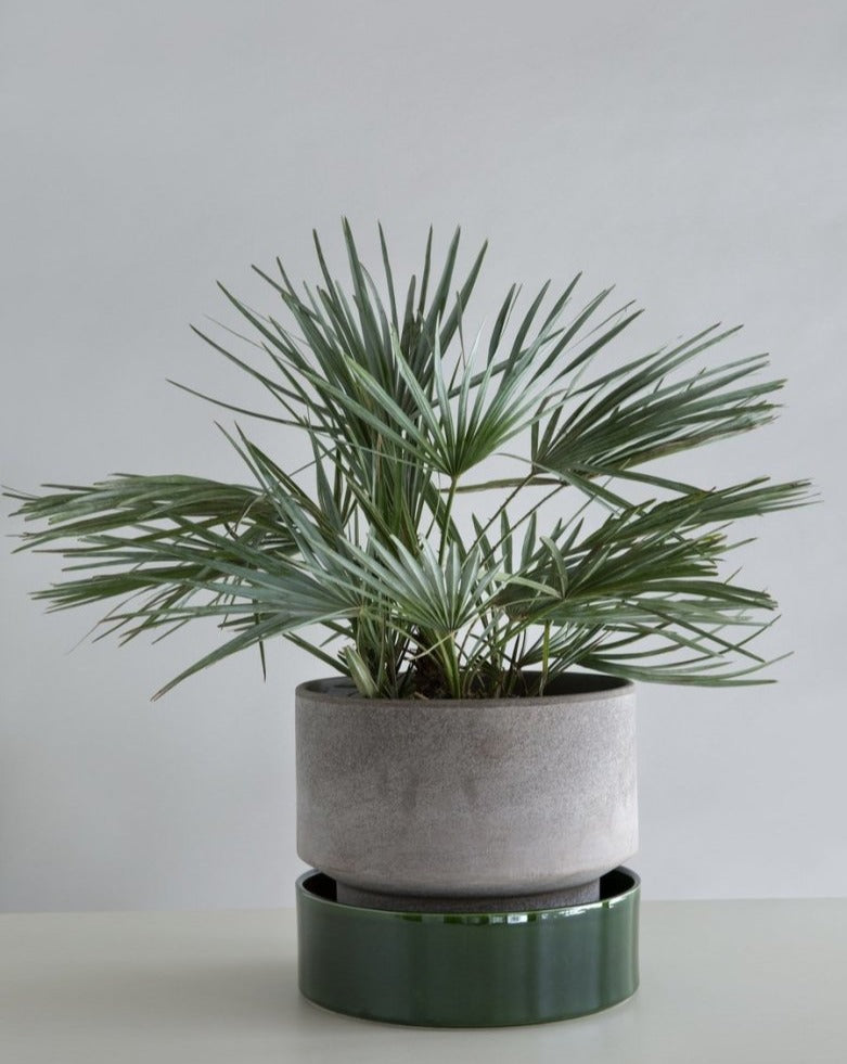 The Hoff Pot By Bergs - Plant Drop